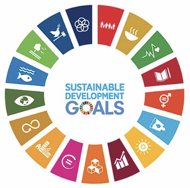 UN SDGs